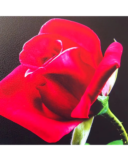 Holographic Laminating Leather 32cms wide