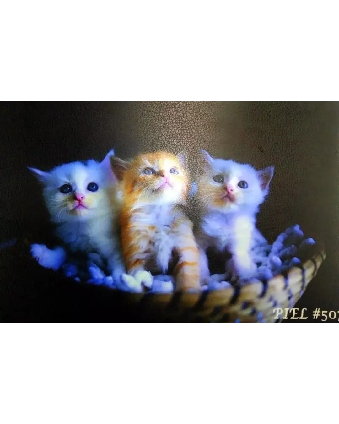 Holographic Laminating Leather 32cms wide