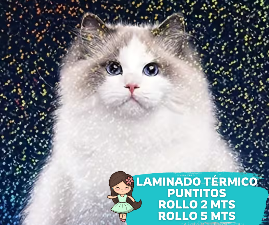 Laminado Puntitos 32cms ancho (2.4 Micras)